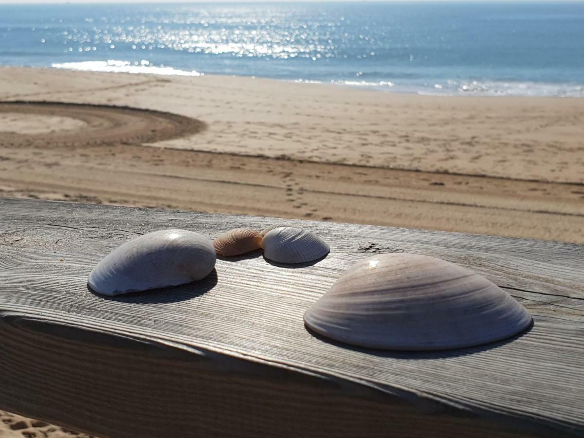 Algarve Beachfront 알보르 외부 사진